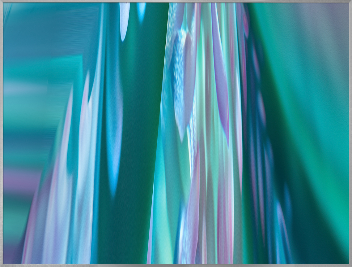 Anemone (II-221#447)