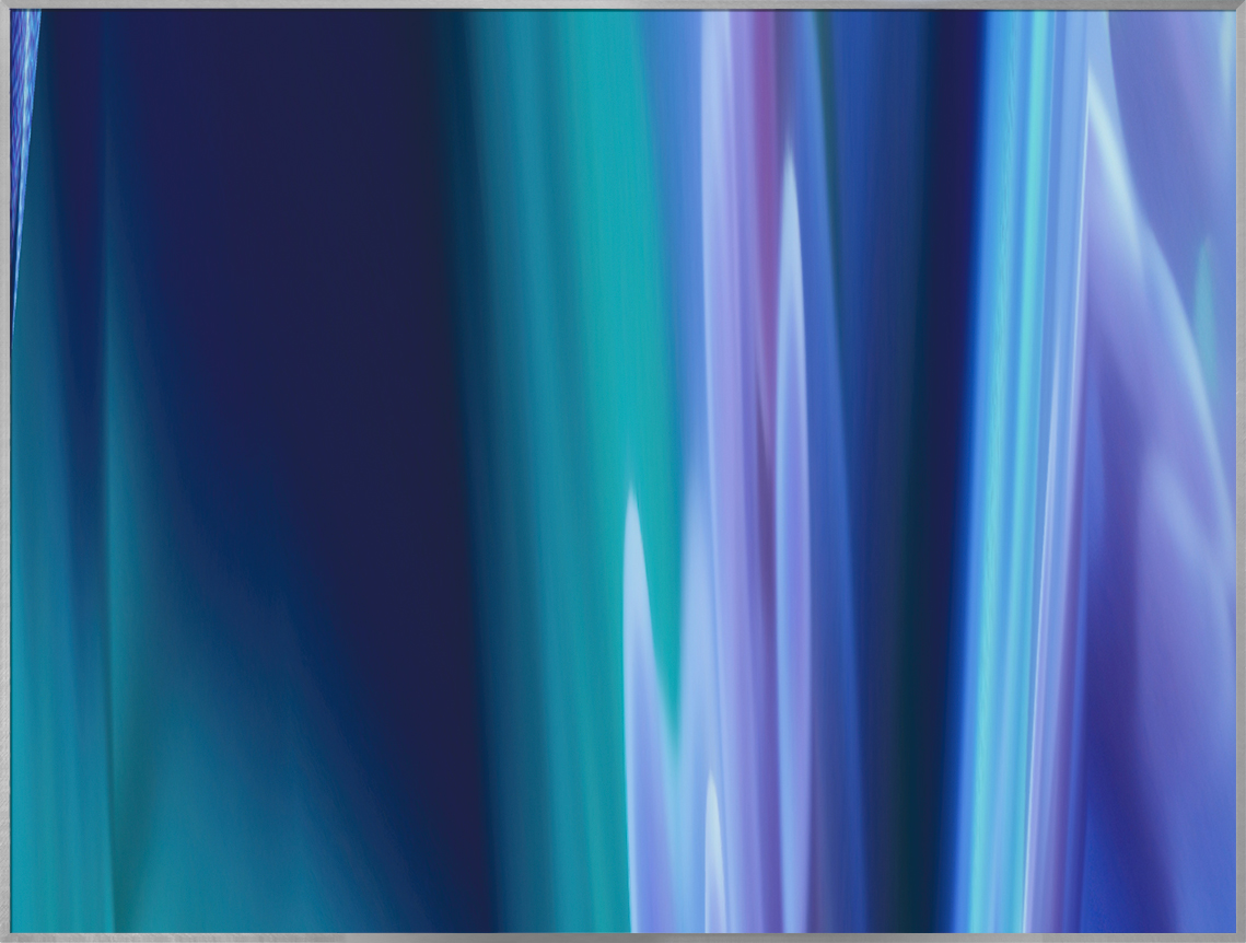 Anemone (II-221#457)