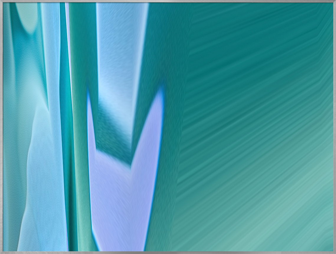 Anemone (II-221#461)