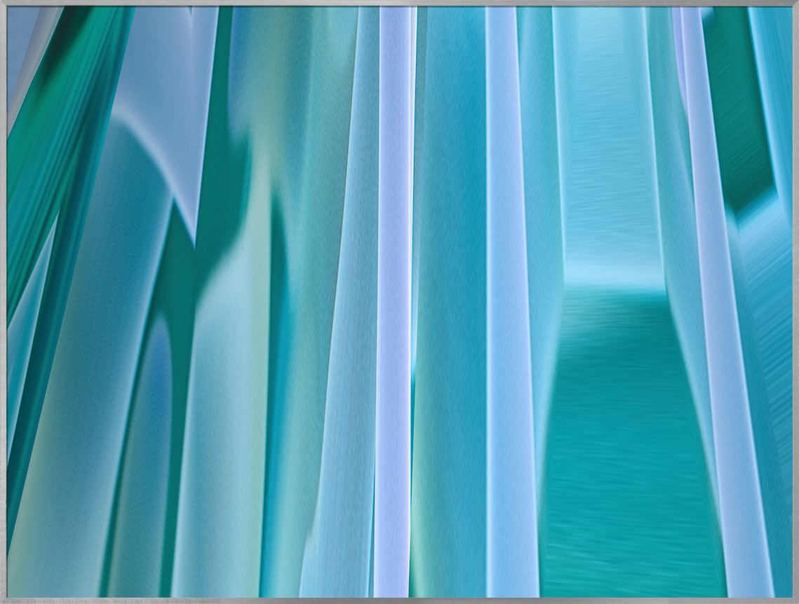 Anemone (II-221#462)