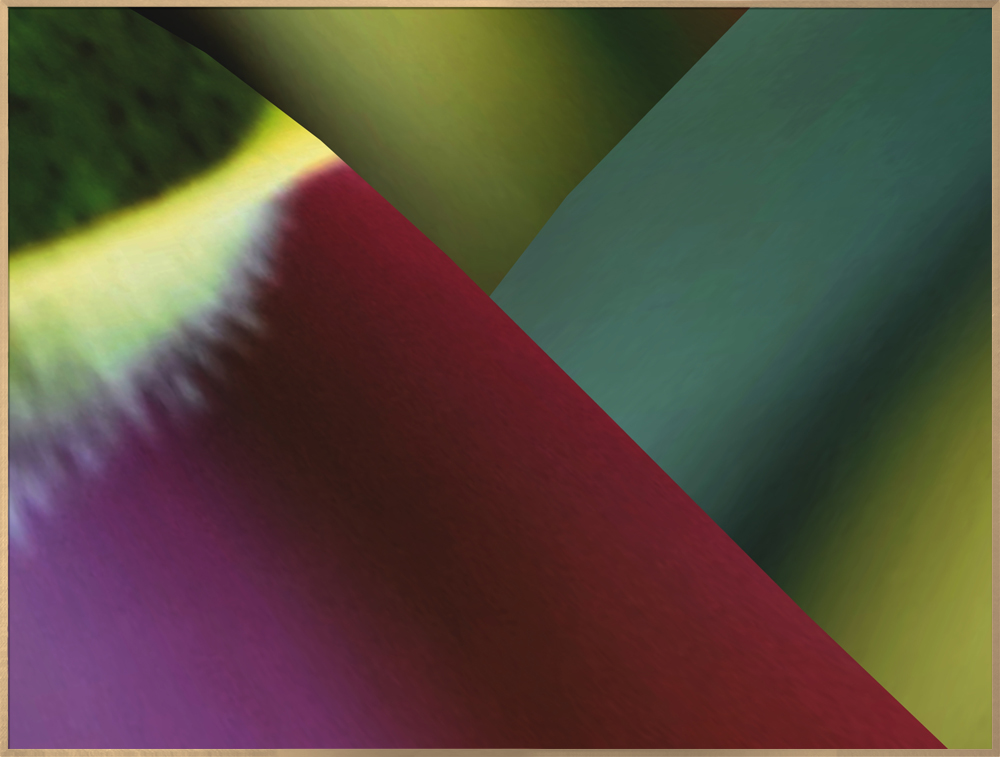 Orchid (VI-017#726)