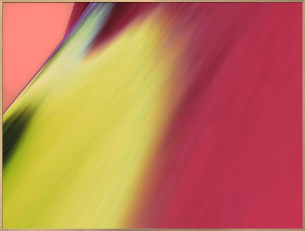 Orchid (VI-017#730)