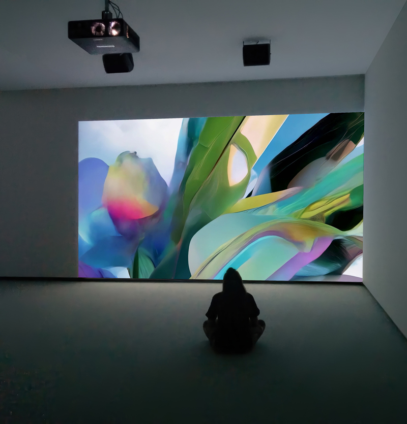 metamorph video
